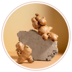 Maca Root