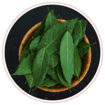 Sage Leaf